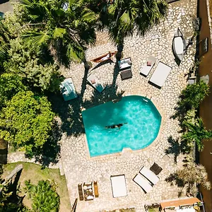 Casa Cactus Brasil